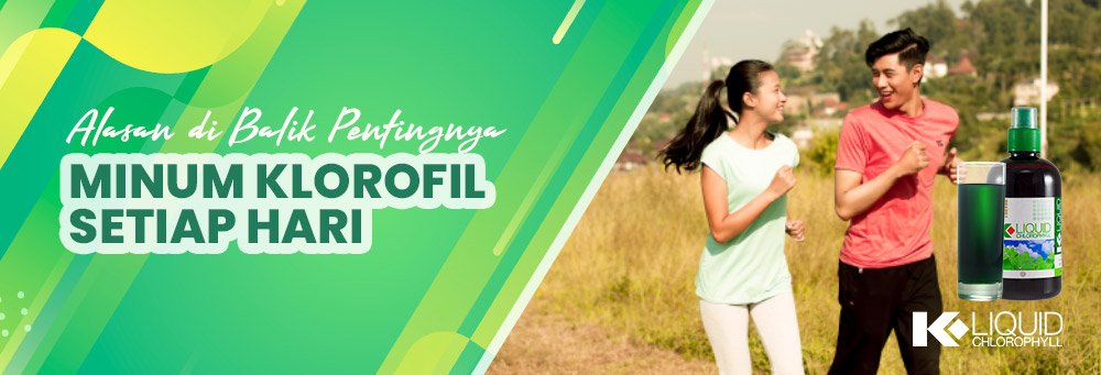 Kenapa Anda Harus Minum Klorofil Setiap Hari? Rahasia 'Darah Hijau' K-Link Klorofil untuk Detoksifikasi Total alasan di balik pentingnya minum klorofil setiap hari