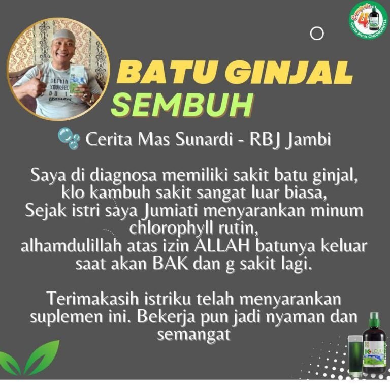 Home batu ginjal sembuh setelah minum klorofil