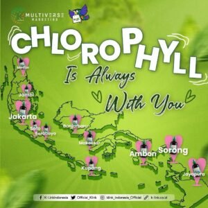 Home liquid klorofil